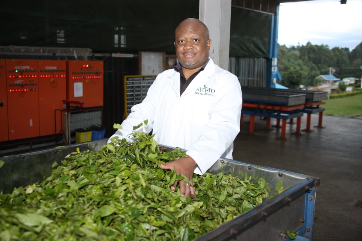 Independent Tea producers, hail government tea reforms