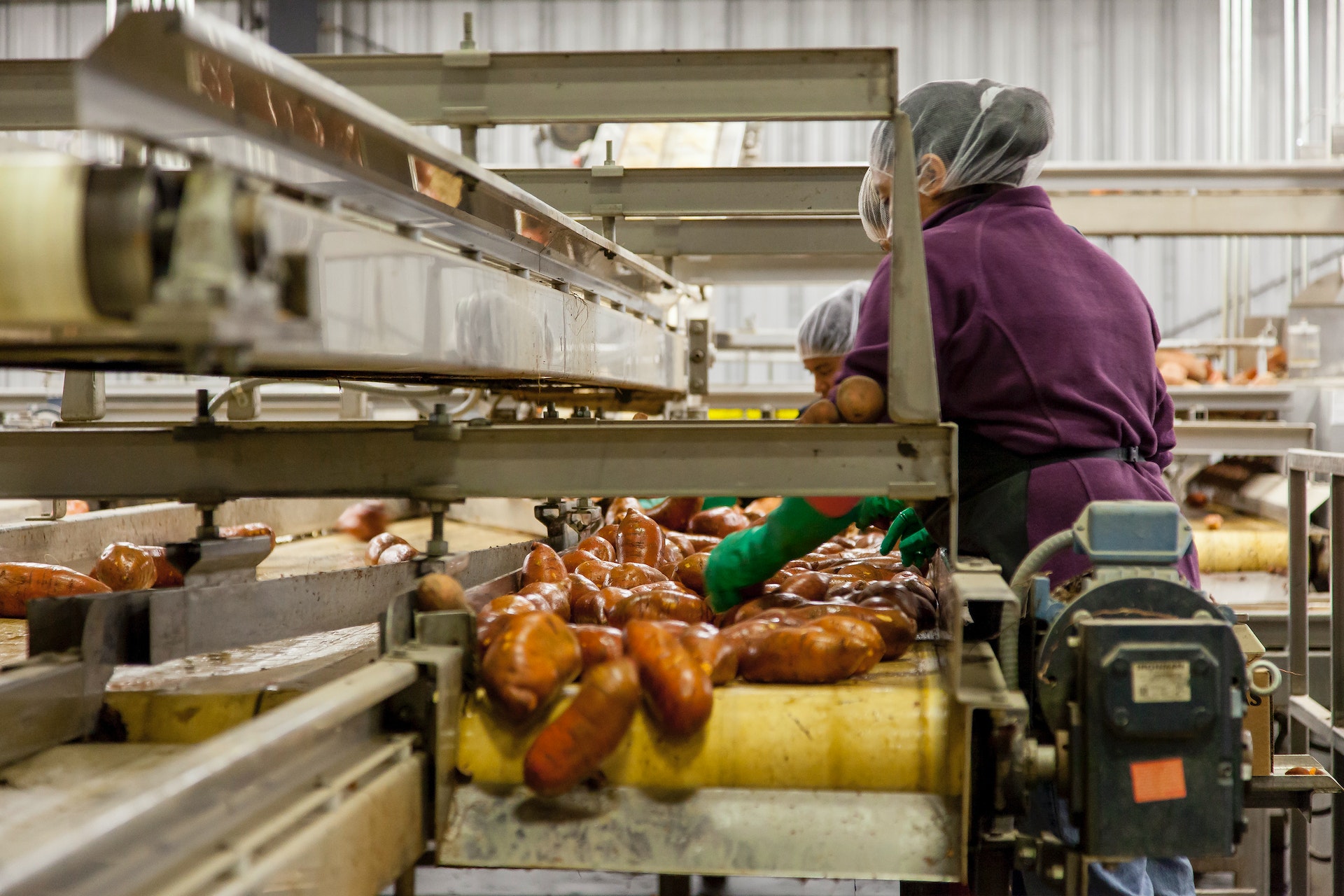 Lack of manpower delaying operations at Migori Sweet potato processing plant
