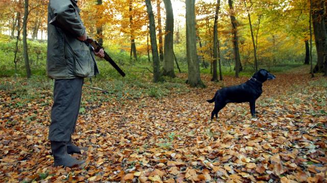 Dog Accidentally Shoots and Kills Man in US Hunting Excursion