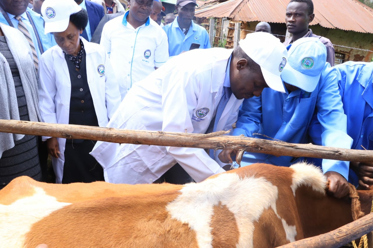 Livestock vaccination programme launched in Kisii