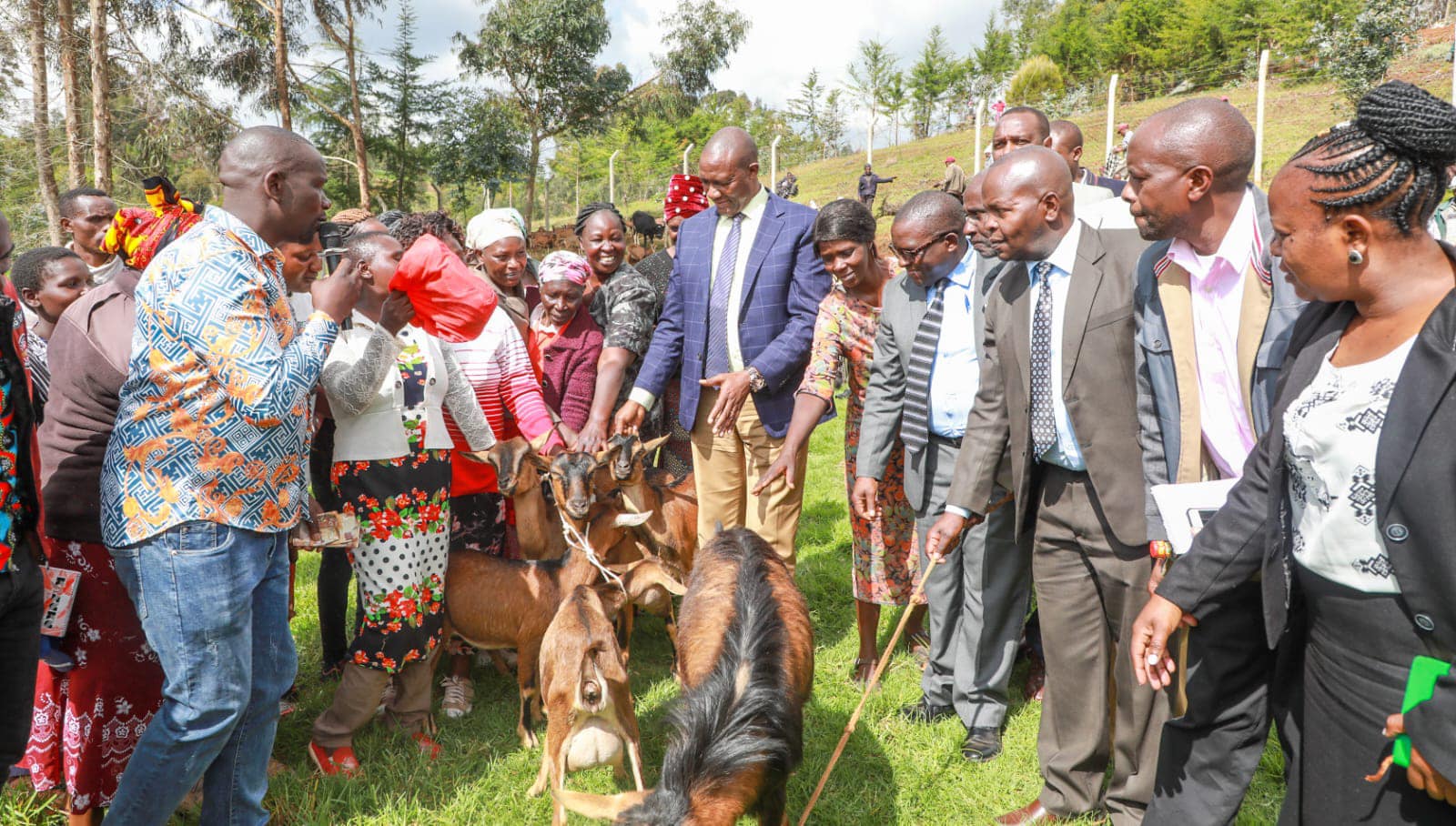 Nyandarua women groups benefit from dairy goats and heifers