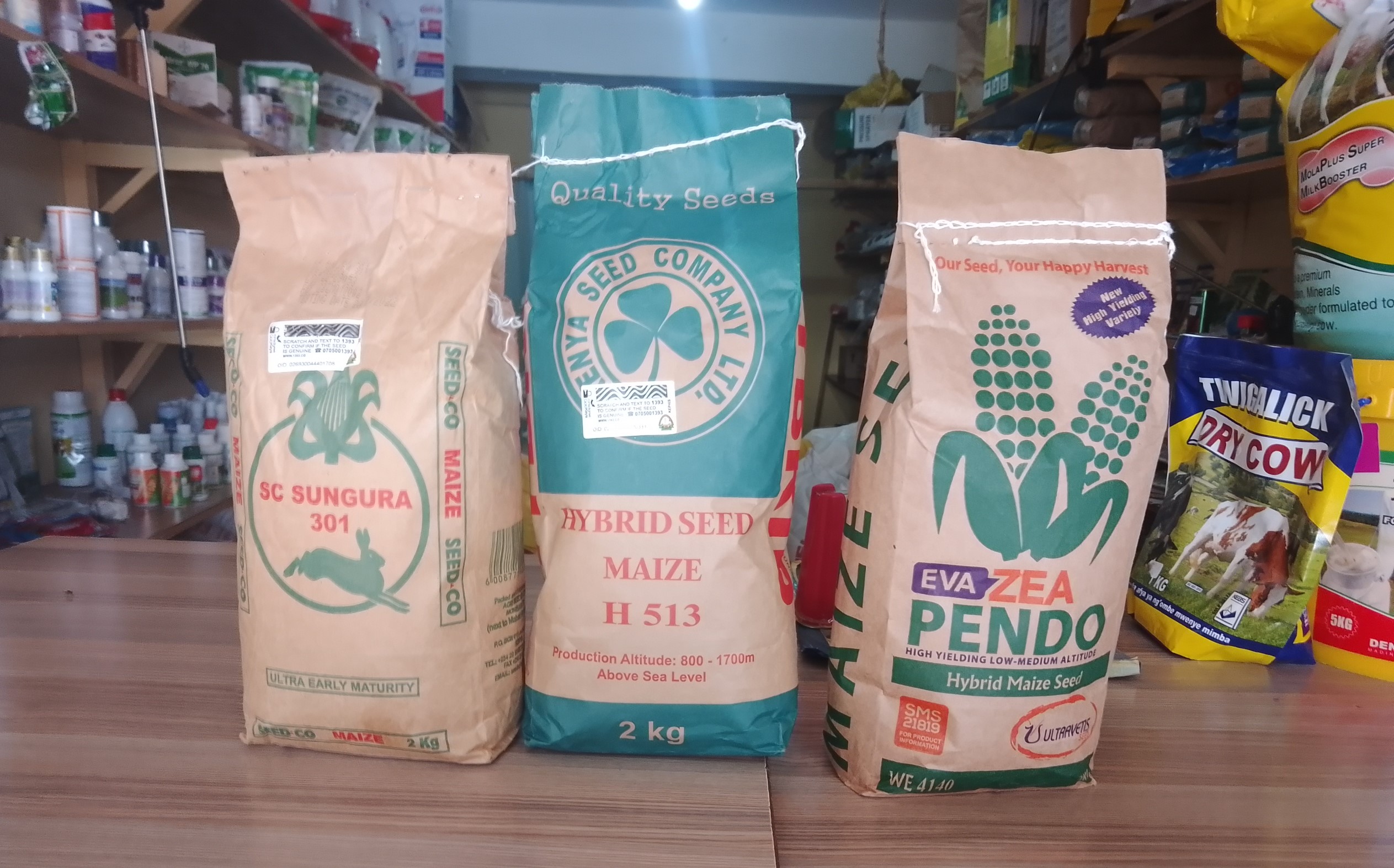 Shortage of certified seeds in Murang’a bites as onset of short rains draws near