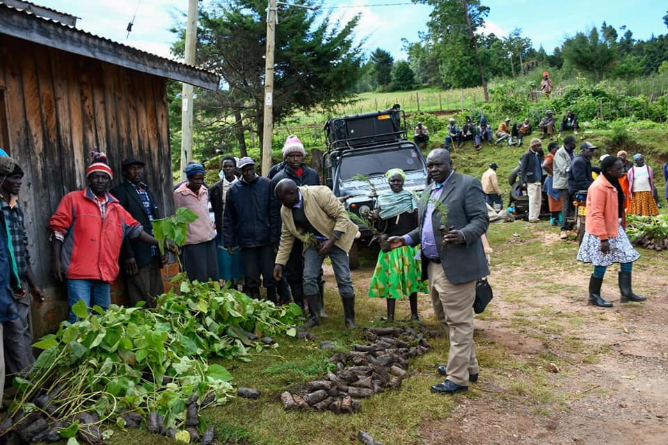 Elgeyo Marakwet County Initiates Fruit Seedlings Distribution Program to Boost Food Security